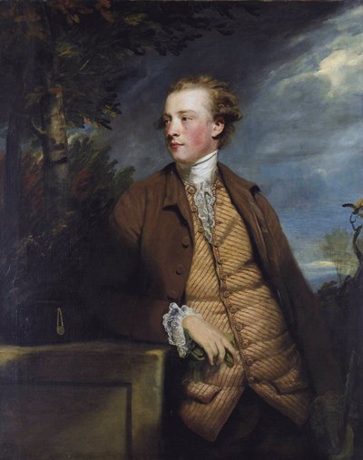 Denis Daly (1747-1791) von Joshua Reynolds